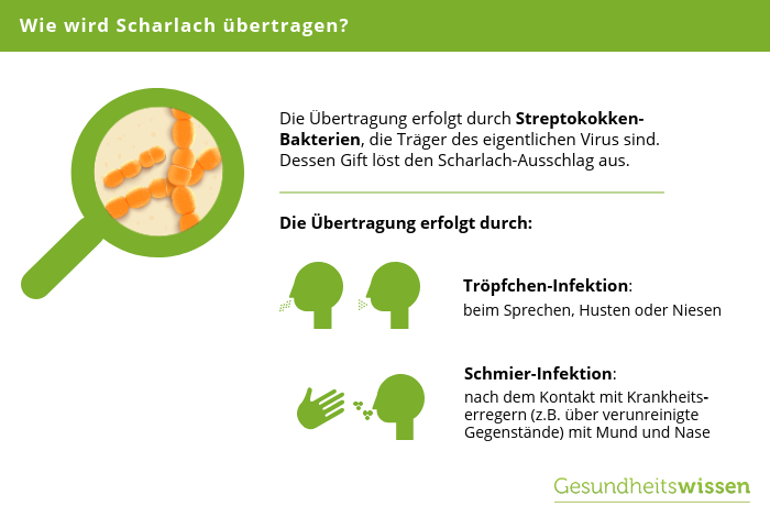 Diagnose Scharlach Krankheitsverlauf Symptome Schutzma nahmen diagnose-scharlach-krankheitsverlauf-symptome-schutzma-nahmen