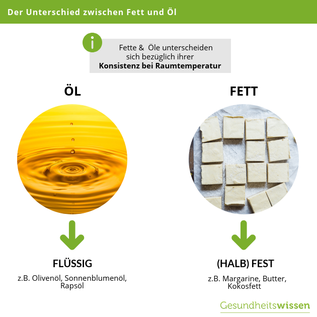 5 Funktionen Von Fetten Im Körper Öle & Fette: Grundlagenwissen für eine gesunde Ernährung | Alle Infos