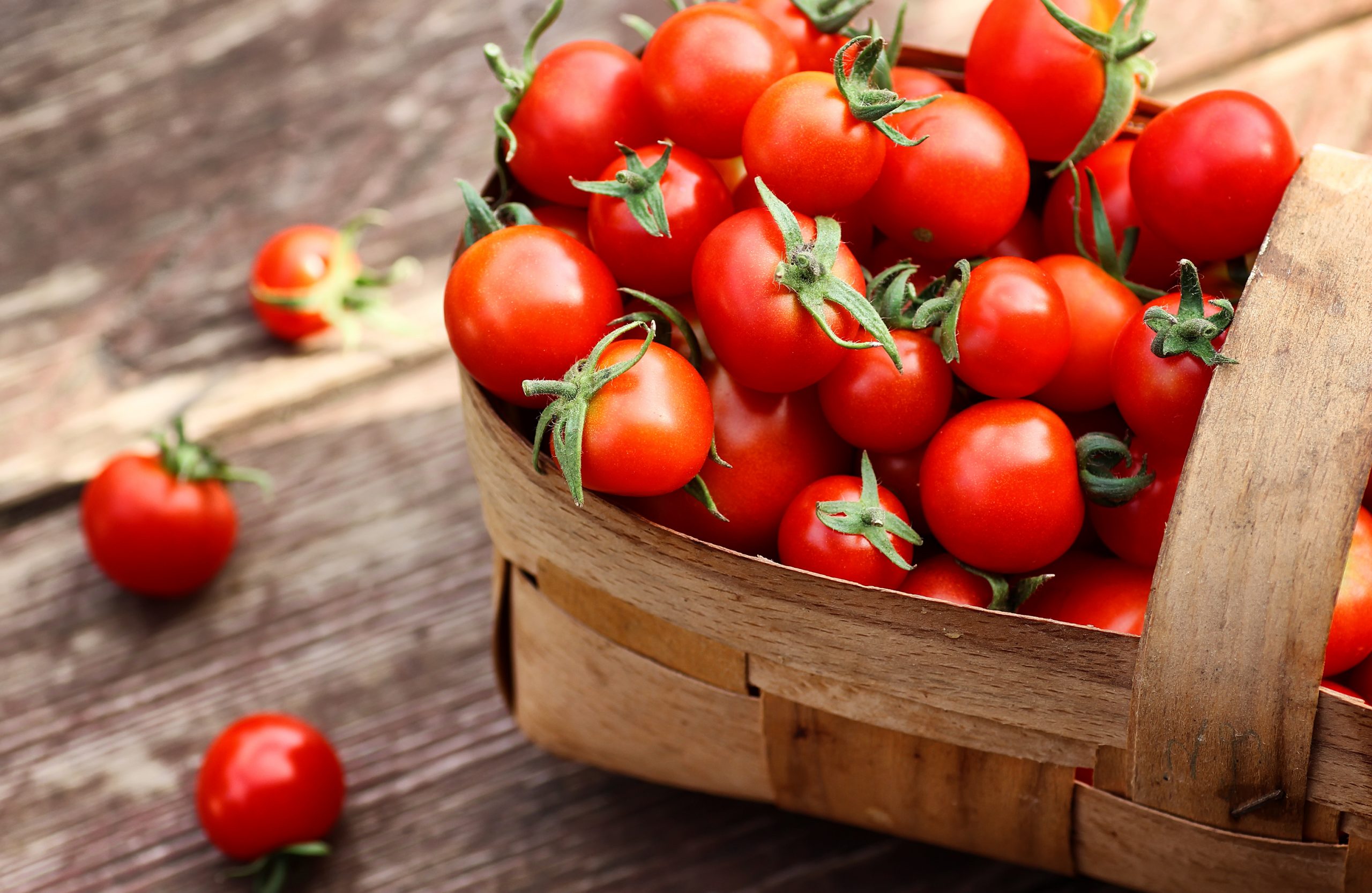 Tomaten als Heilpflanze - die heilende Wirkung des Inhaltsstoffes Lycopin