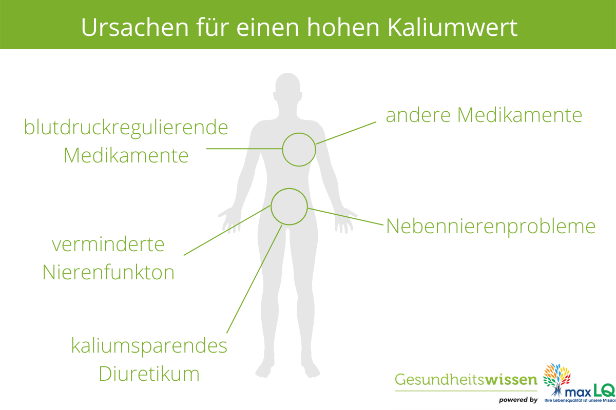 Nehmen Sie nicht zu viel Kalium! - Das bedeutet ein hoher Kalium-Wert