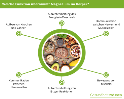 Kann Der Körper Magnesium Speichern www.gesundheitswissen.de