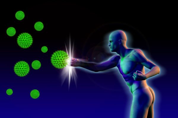 Eiweiß Immunsystem