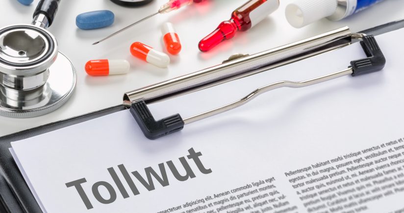 Tollwut – Was Mensch und Tier beachten sollten