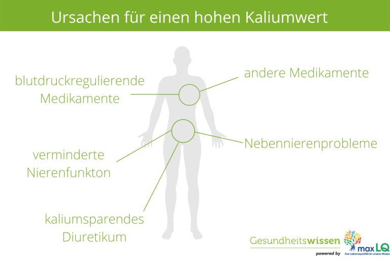 Hoher Kaliumwert Durch Zu Wenig Trinken www.gesundheitswissen.de